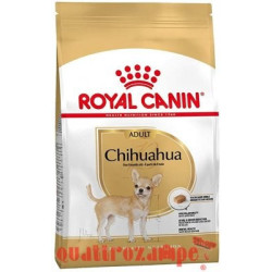 Royal Canin Chihuahua Adult Crocchette 500g