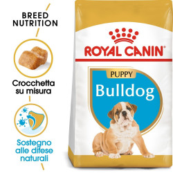 Royal Canin  Bulldog Inglese Puppy Crocchette per Cani 3 KG