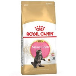 Royal Canin Gattini Maine Coon (fino a 15 mesi di eta') 2 kg