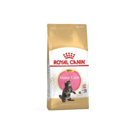 Royal Canin Gattini Maine Coon (fino a 15 mesi di eta') 2 kg