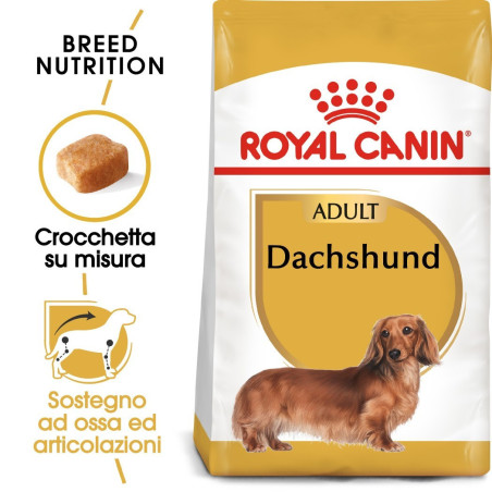 Royal Canin Crocchette Per Cani Bassotti Adulti  1,5kg