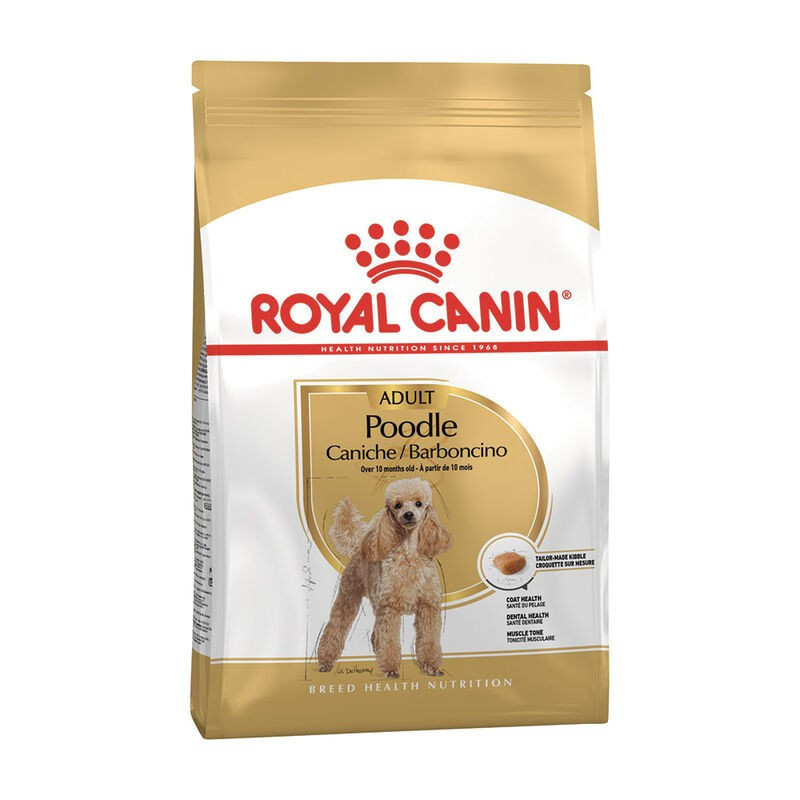 Royal Canin Crocchette per Cani Barboncino Adulti sacco 500g