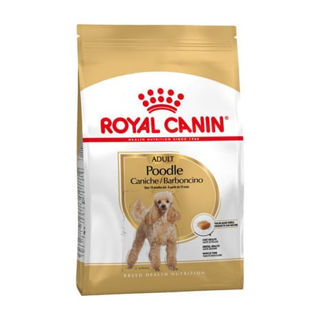 Royal Canin Crocchette per Cani Barboncino Adulti sacco 1,5kg