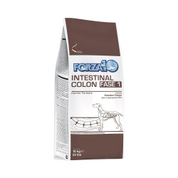 Forza10 Active Intestinal Colon Fase 1 per Cane 10 kg