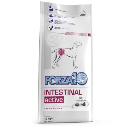 Forza 10 Cane Intestinal Active 10 Kg