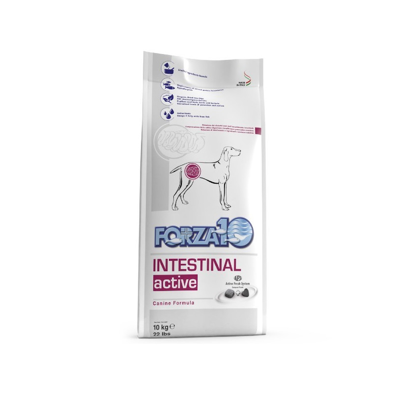 Forza 10 Cane Intestinal Active 4 Kg